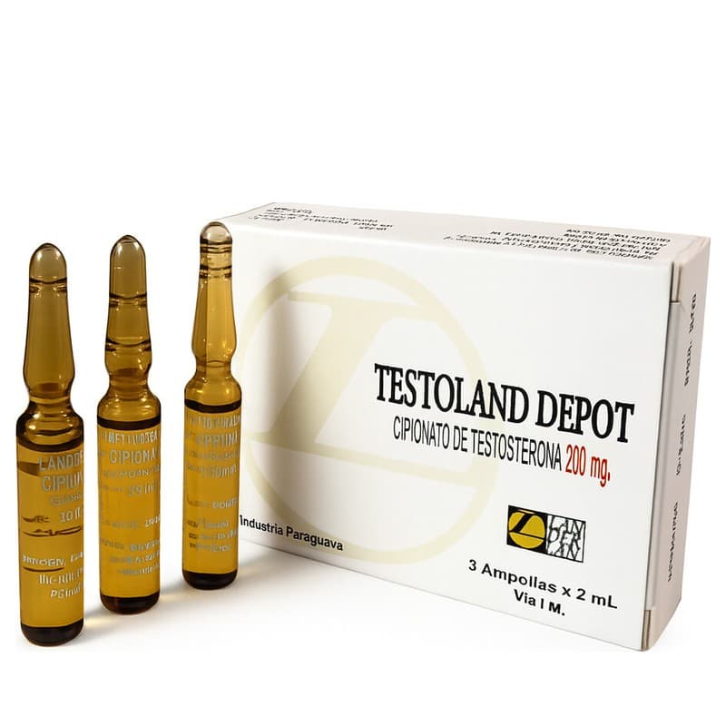 Testoland Depot – 3 Ampolas 2ml — Kit 5un – Construtor Muscular