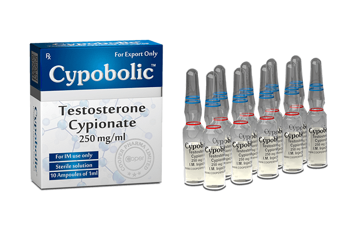 Cypobolic Cipionato de Testosterona 250mg/ml – 10ml — Kit 5un – Construtor Muscular